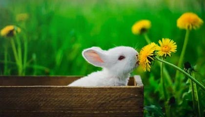 爱游戏娱乐平台-职业联赛媒体传播方式未贴近年轻群体