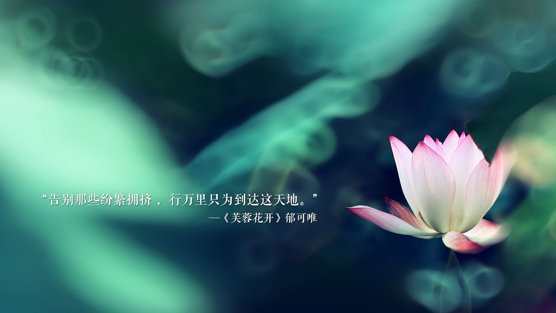 爱游戏-“超强战术：联盟中最创新的进攻套路揭秘”，联盟进攻计划