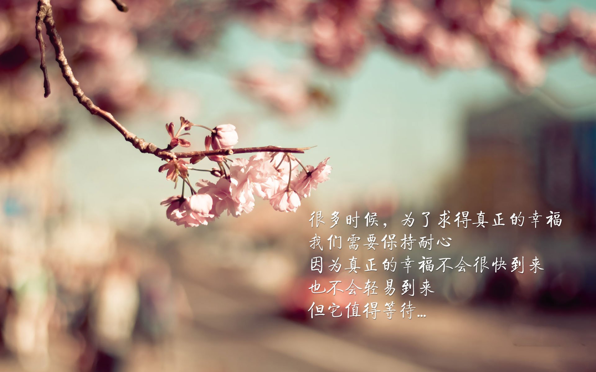 爱游戏官方-墨西哥马术协会与兽医合作，开展马匹疾病预防与治疗研究。，墨西哥木马