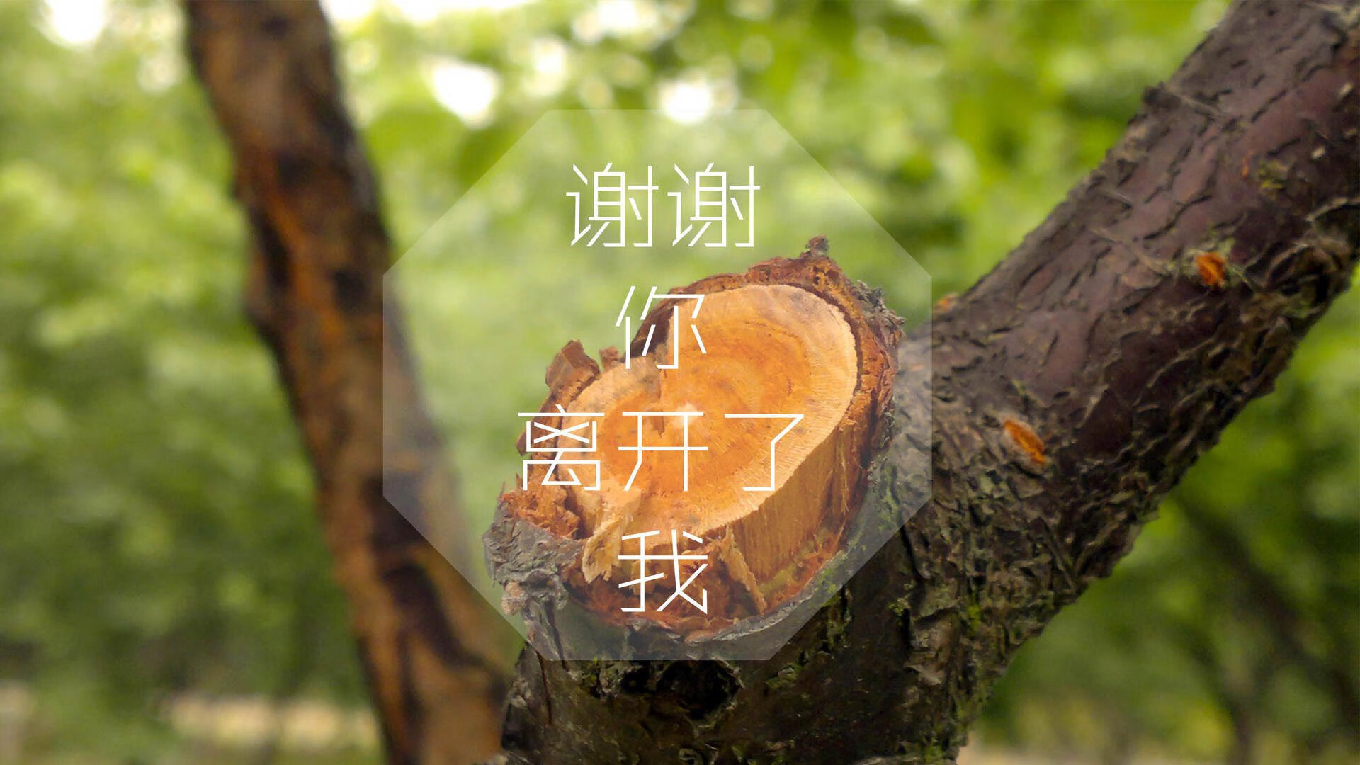 爱游戏平台-青少年足球竞赛持续升温，基层足球人才储备逐步丰富，青少年足球选拔