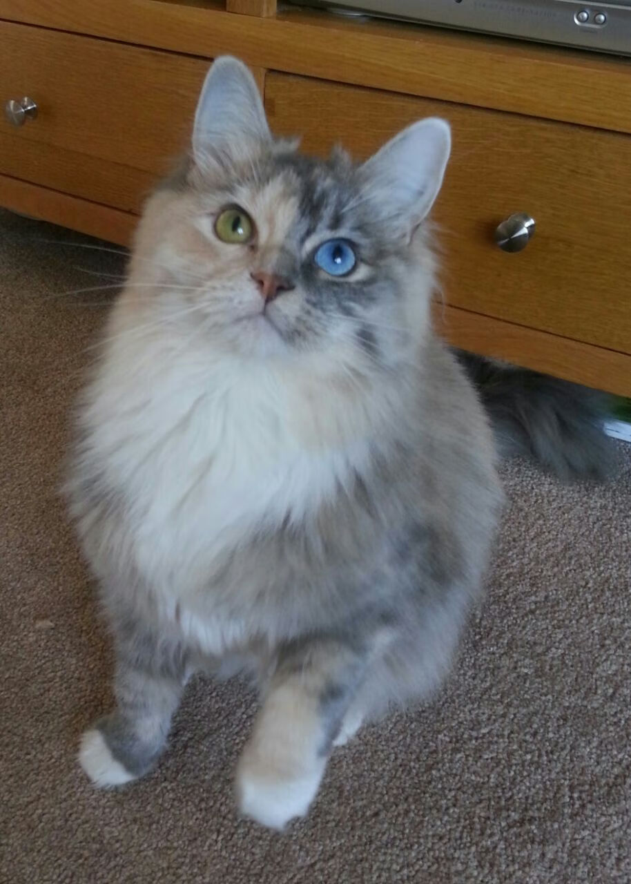 AIYOUXI.COM-CBA球队依托科技设备提升训练精度，cba科技篮球