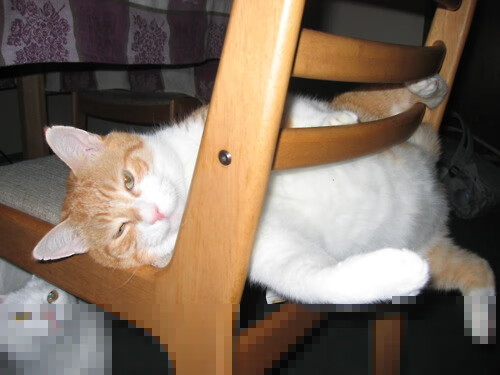 爱游戏体育-中国三人篮球女队技术提升显著，中国三人女篮球名单