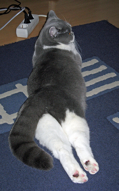 中国男篮加强远投训练 应对外线压力,中国男篮要求