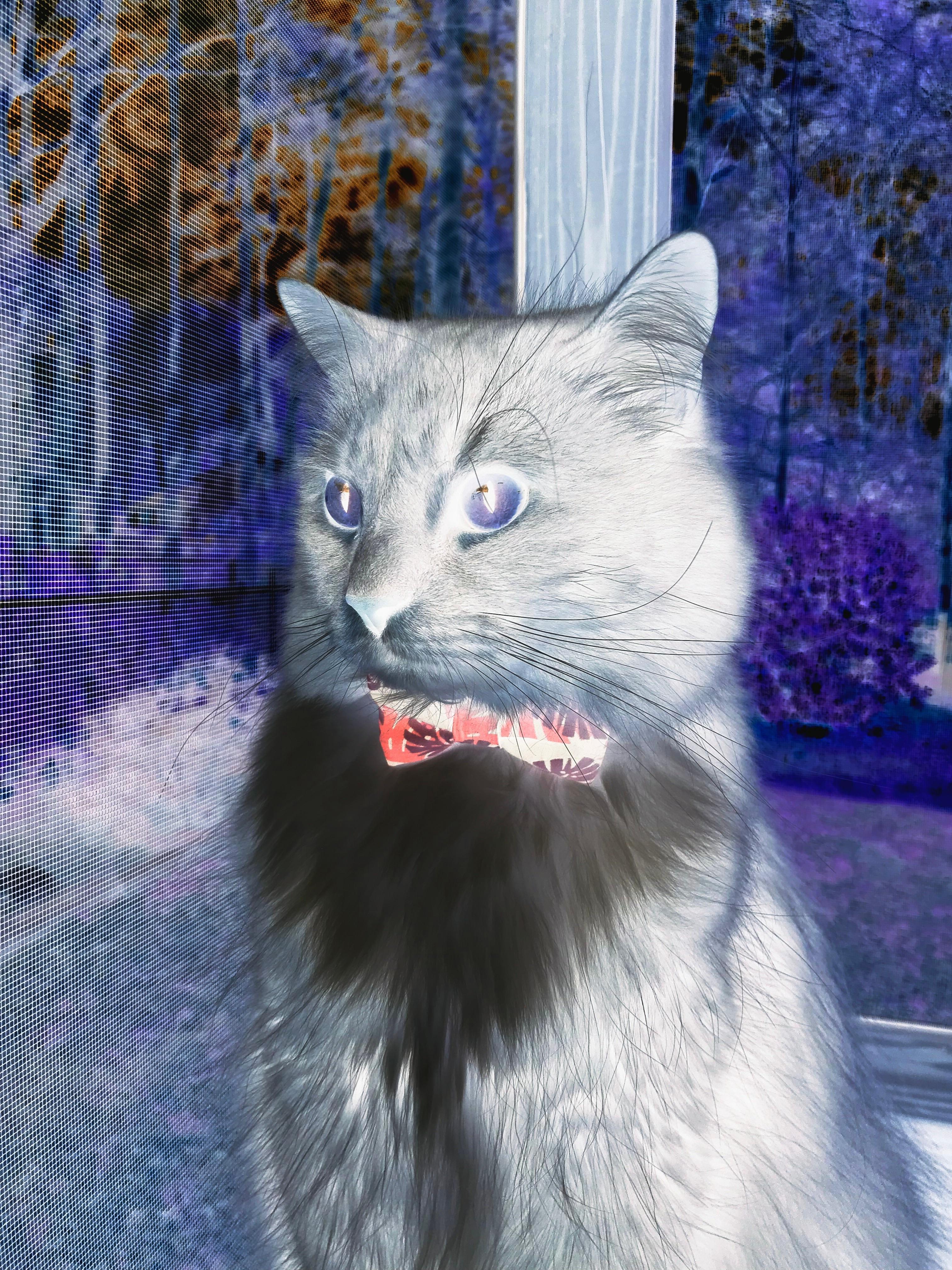 爱游戏娱乐网址-职业联赛本土球员成长受限于政策，职业球员人数