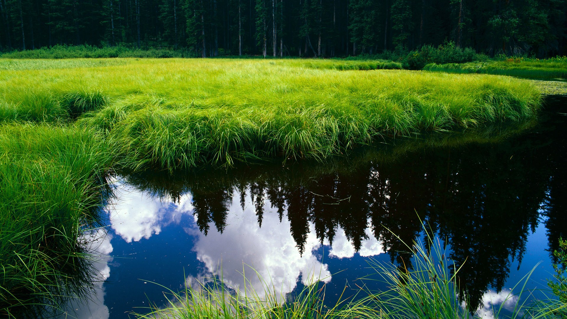 体育新闻平台整合资源提供一站式信息服务便捷高效，体育新闻网址大全