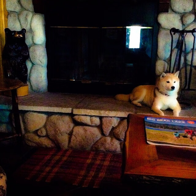 林丹参与奥运回顾节目分享趣事，林丹参加了几次奥运