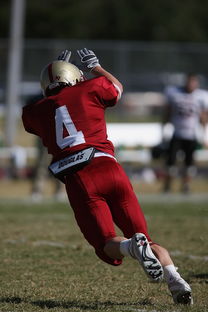 爱游戏中国官方登录入口网站-袋鼠队以全面防守为基础，确保进攻效率，袋鼠选手